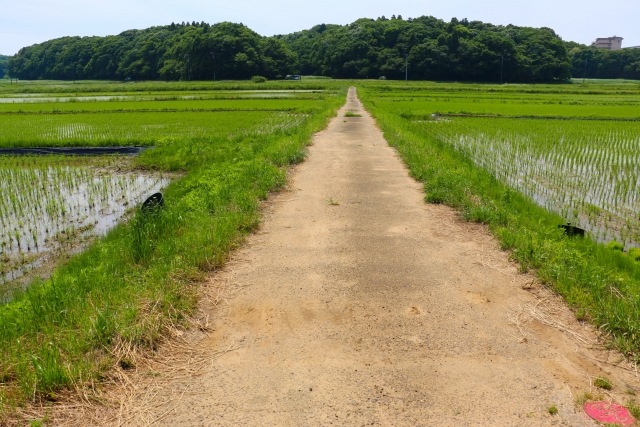 田舎で出会いがない人におすすめの出会い方 地元 田舎で彼氏彼女を見つける方法 出会いをサポートするマッチングアプリ 恋活メディア 恋愛会議