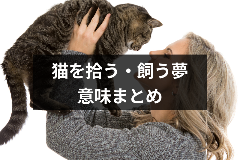 猫を拾う 飼う夢の意味とは それぞれ違う夢診断 夢占いまとめ 出会いをサポートするマッチングアプリ 恋活 占いメディア シッテク