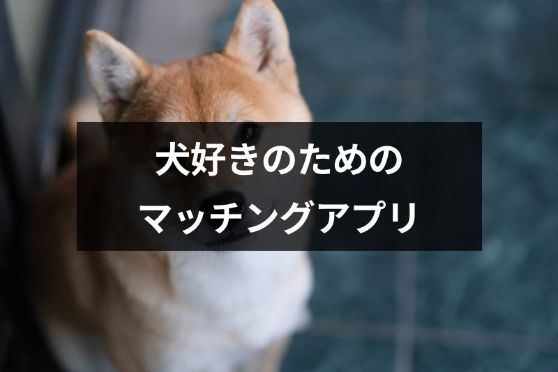 犬好きな人同士の出会い 犬好きのための婚活パーティー マッチングアプリ8選 出会いをサポートするマッチングアプリ 恋活 占いメディア シッテク 犬好きな人同士の出会い 犬好きのための婚活パーティー マッチングアプリ8選 出会いをサポートするマッチングアプリ 恋活 占いメディア シッテク