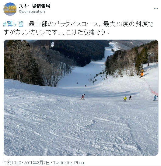 婚活会議