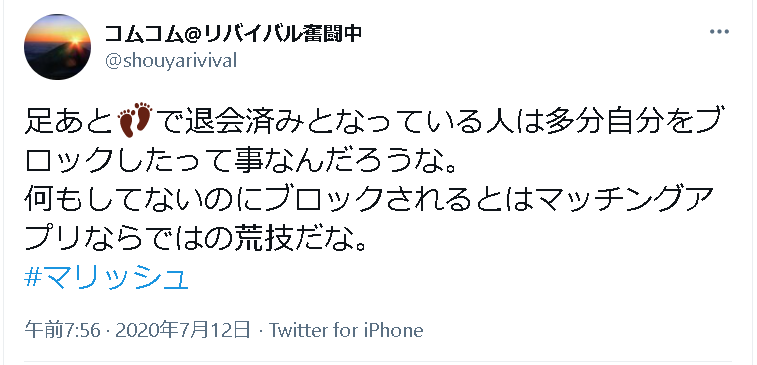 マリッシュでマッチング後相手が突然退会済み表示に ブロックされた原因と対処法 出会いをサポートするマッチングアプリ 恋活 占いメディア シッテク