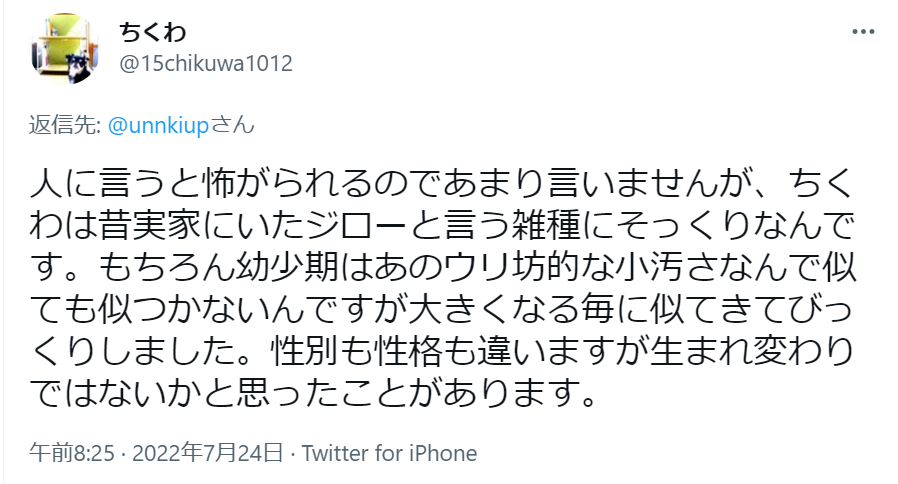 犬の生まれ変わりはある 8つのサインと見つけ方や探し方の注意点 出会いをサポートするマッチングアプリ 恋活 占いメディア シッテク