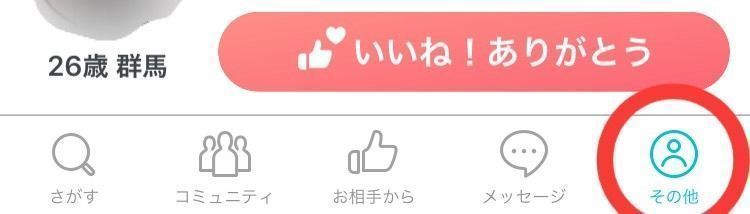 Pairs(ペアーズ) 「その他」からプロフィールと設定を更新 Pairs(ペアーズ) 「その他」からプロフィールと設定を更新
