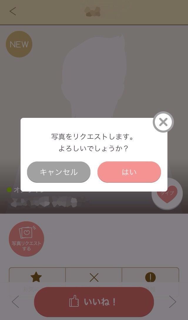 マリッシュ 相手のプロフィール画面から写真リクエストを送る マリッシュ 相手のプロフィール画面から写真リクエストを送る