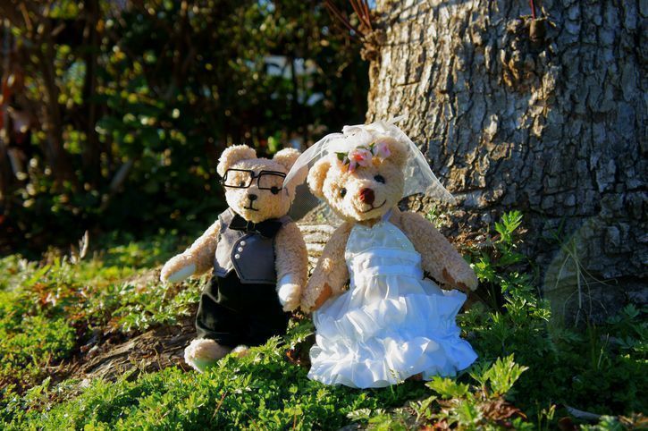 50代(アラフィフ)の婚活