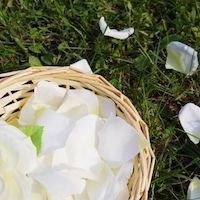 結婚相談所の基礎知識とコツ