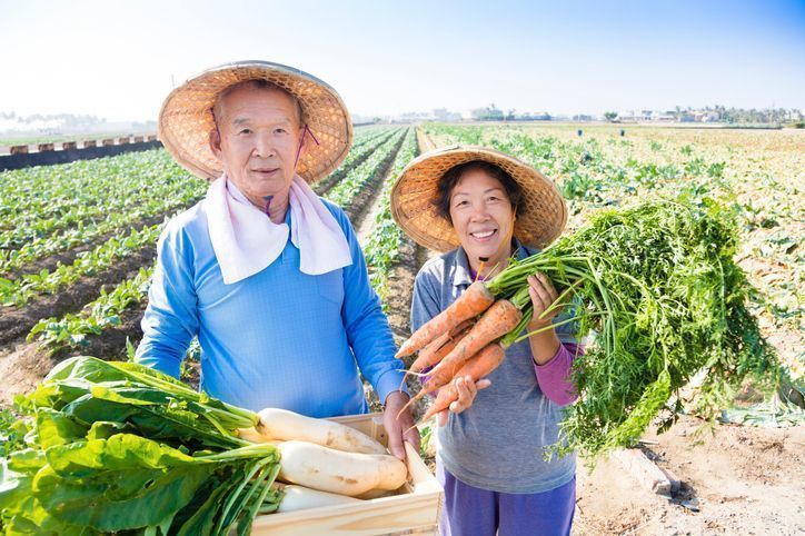 農家の息子は結婚できない?お嫁さんを見つけるおすすめ婚活方法とは 農家の息子は結婚できない?お嫁さんを見つけるおすすめ婚活方法とは