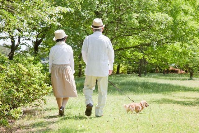 40代、50代はもちろん、60代でも婚活は始められる!