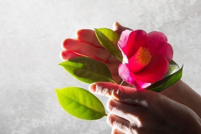 婚活のコツ まとめ 婚活のコツ まとめ