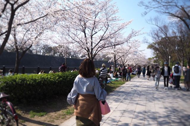 30代(アラサー)の婚活 今年で30歳、絶賛婚活中な体験談
30代(アラサー)の婚活 今年で30歳、絶賛婚活中な体験談