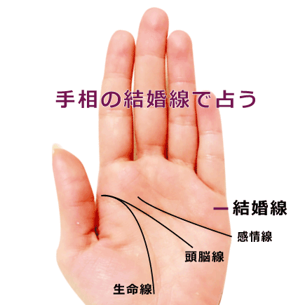 婚活のコツ 結婚できるかできないかを手相で占える? 婚活のコツ 結婚できるかできないかを手相で占える?