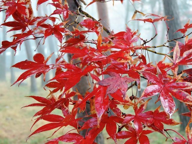 婚活のコツ 茨城の結婚相談所婚活事情って? 婚活のコツ 茨城の結婚相談所婚活事情って?