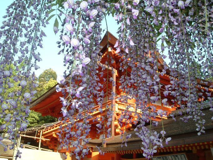 婚活恋活アプリ 奈良の結婚相談所婚活事情とは 婚活恋活アプリ 奈良の結婚相談所婚活事情とは