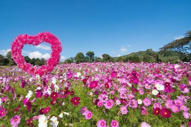 婚活のコツ のりかえ割あり!おすすめの結婚相談所3選
婚活のコツ のりかえ割あり!おすすめの結婚相談所3選