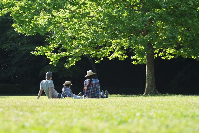 シングルマザー シングルマザーとの付き合い方まとめ シングルマザー シングルマザーとの付き合い方まとめ